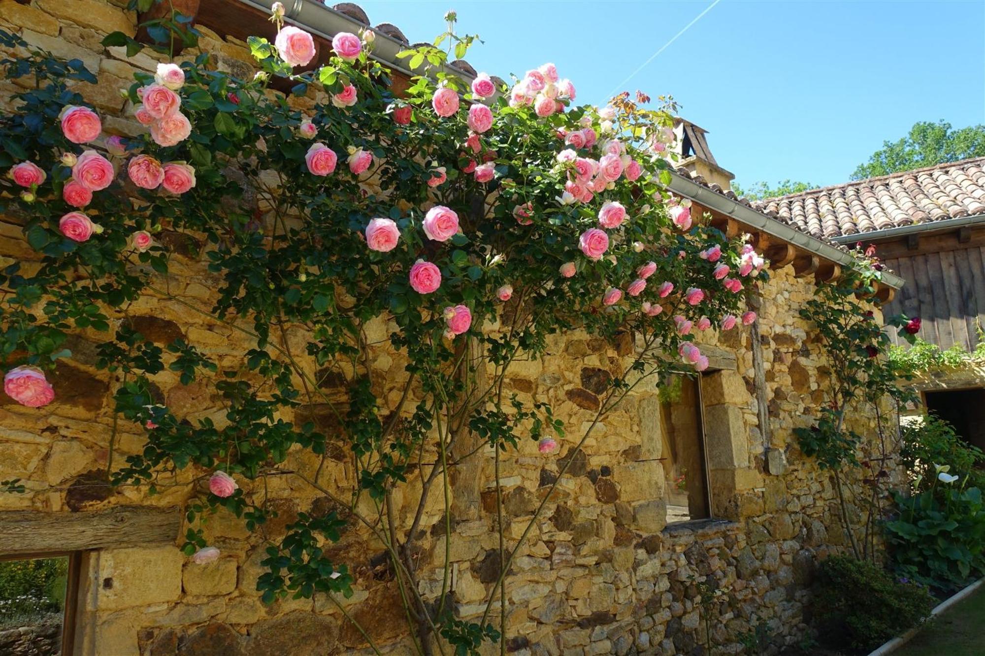 Domaine De Cournet Haut, A 17Th Century Property Set On A Calm, Idyllic Domain With Pool, Tennis, Bikes And More Les Vauries المظهر الخارجي الصورة