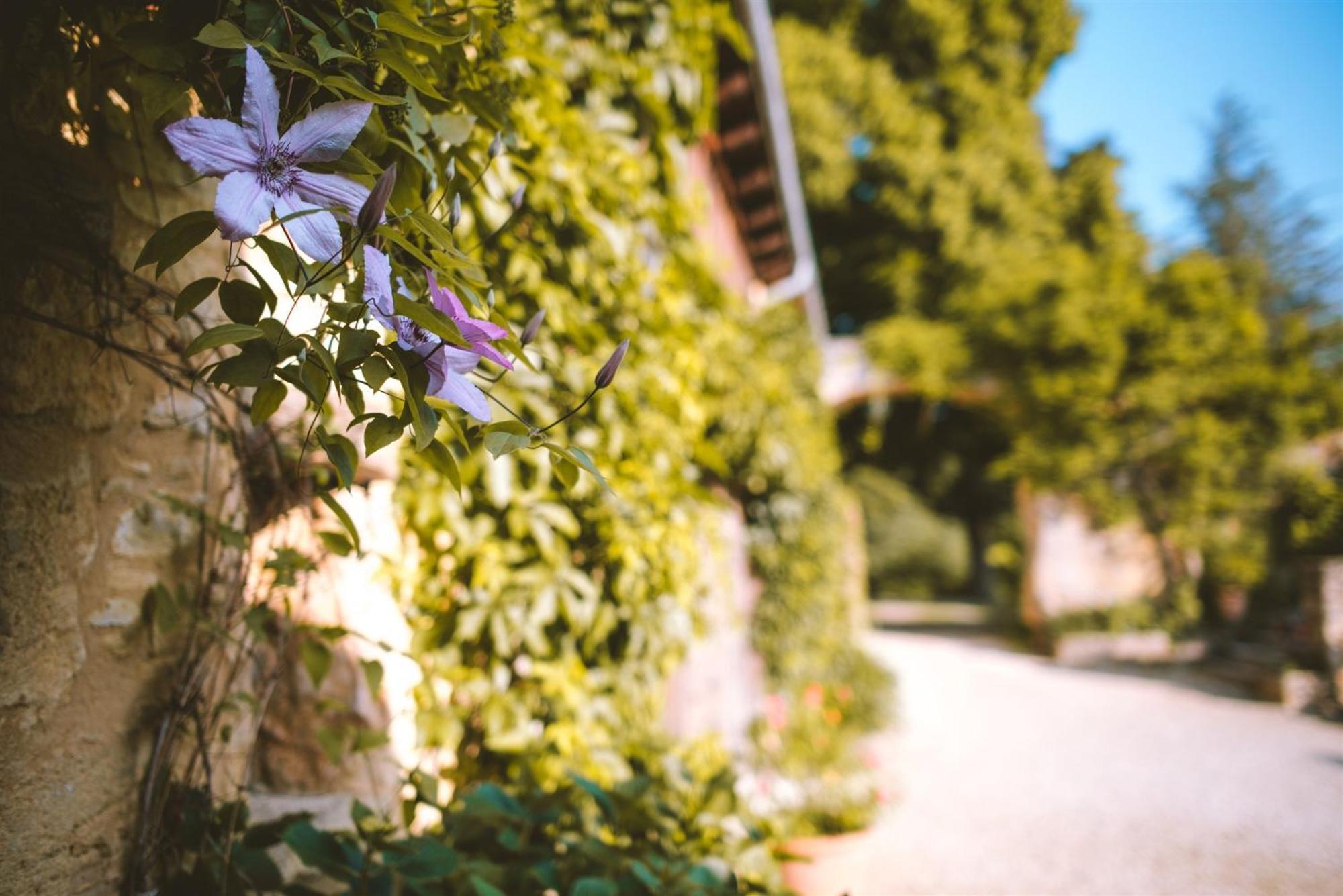 Domaine De Cournet Haut, A 17Th Century Property Set On A Calm, Idyllic Domain With Pool, Tennis, Bikes And More Les Vauries المظهر الخارجي الصورة