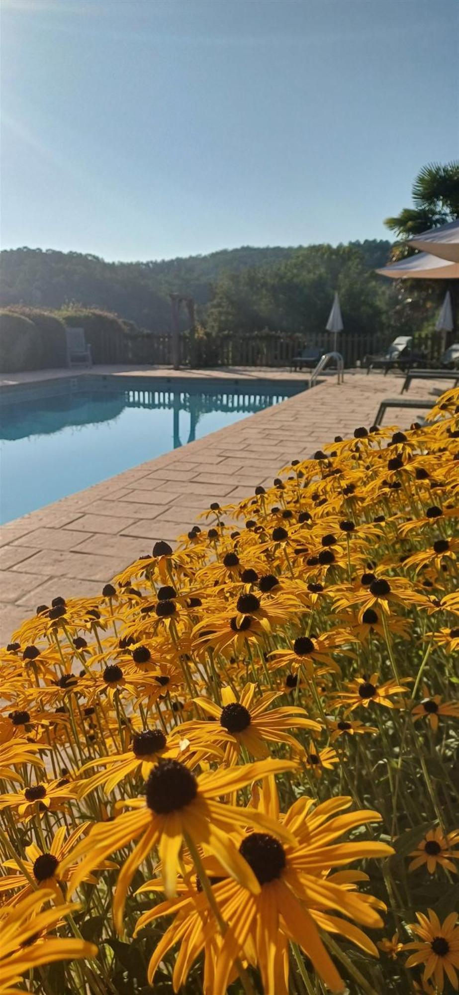 Domaine De Cournet Haut, A 17Th Century Property Set On A Calm, Idyllic Domain With Pool, Tennis, Bikes And More Les Vauries المظهر الخارجي الصورة